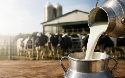 Cártel de la leche: el Supremo abre la vía para que los ganaderos reclamen